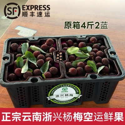 云南新鲜浙兴杨梅4斤原箱小黑碳杨梅黑框鲜果鲜甜多汁顺丰精选大