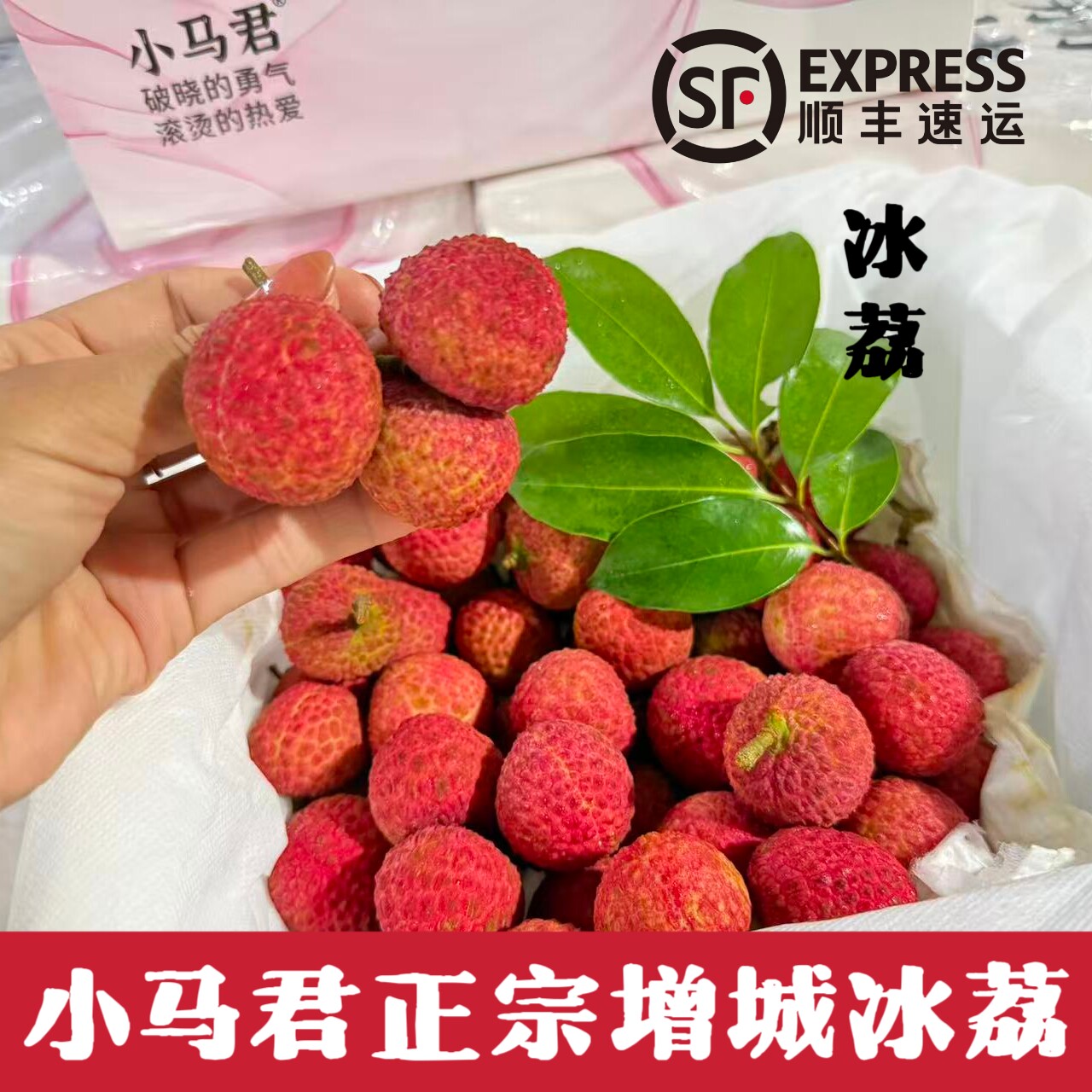 广东冰荔荔枝新鲜现摘现发2斤4斤老树精品大果水果礼盒团购顺丰