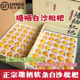 正宗塘栖软条白沙枇杷2层70颗原箱礼盒装新鲜水果当季现摘现发