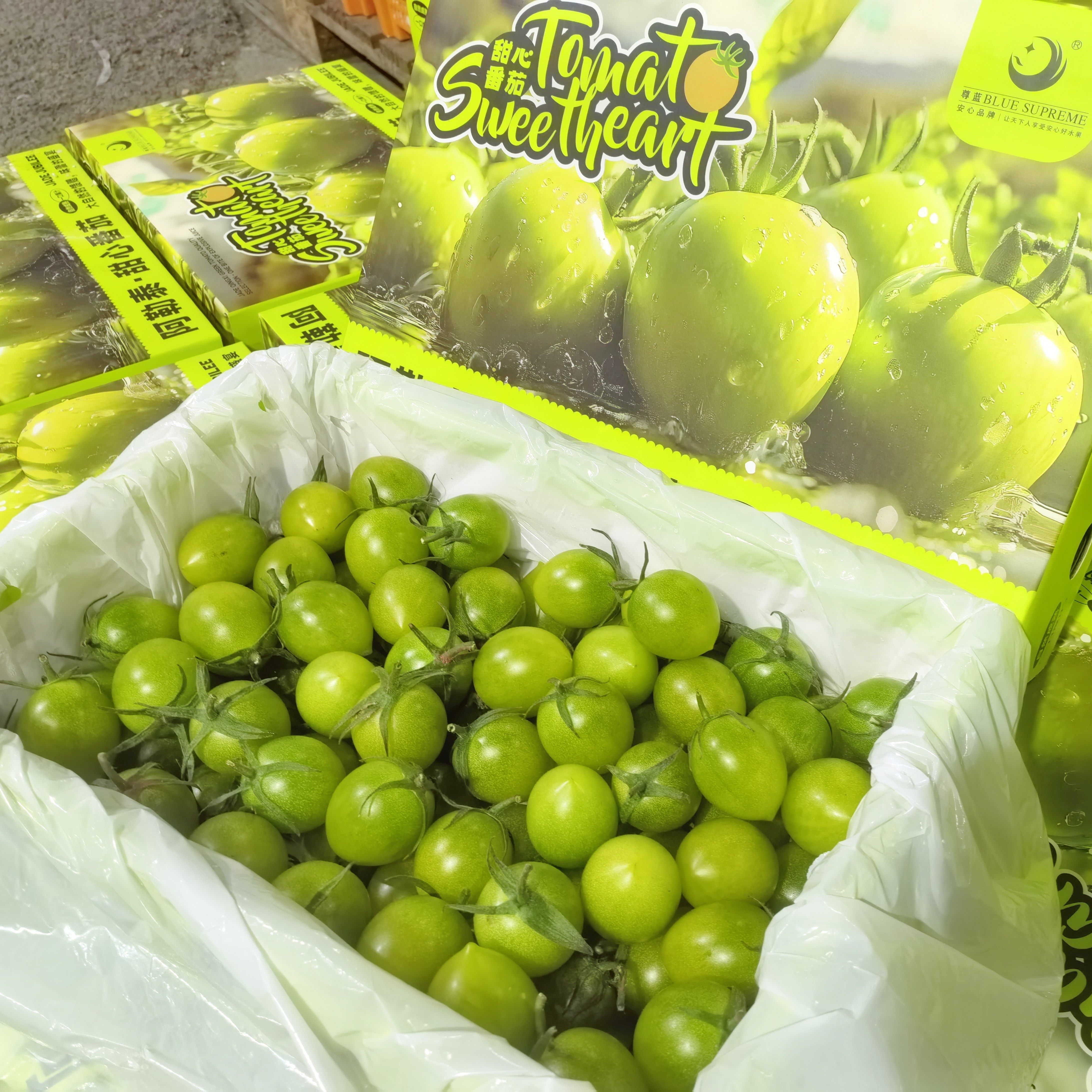 新鲜青霞小番茄原箱礼盒3斤当季新鲜孕妇水果鲜甜多汁礼盒随机发,水产肉类/新鲜蔬果/熟食,番茄,淘宝优惠券,粉丝福利购,淘宝优惠卷