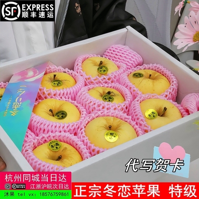 日本引种冬恋苹果原箱礼装特甜新鲜糖心黄苹果岩手初冬之恋