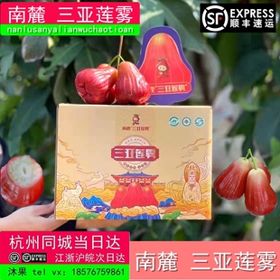 三亚南鹿一号南鹿牛奶莲雾新鲜水果莲雾个大3斤顺丰包邮