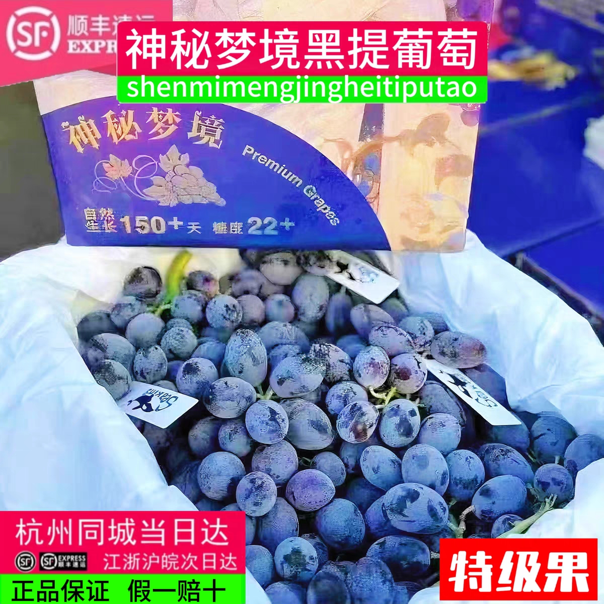 顺丰包邮 神秘梦境黑提 无籽黑加仑葡萄纯甜爆汁3斤装新鲜水果
