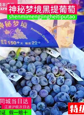 顺丰包邮 神秘梦境黑提 无籽黑加仑葡萄纯甜爆汁3斤装新鲜水果