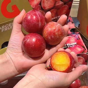 现货智利樱桃李新鲜时令孕妇水果进口李子5斤原箱礼盒装顺丰包邮