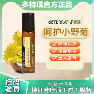 多特瑞呵护小野菊精油官网正品舒缓肌肤镇静放松