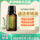 多特瑞迷迭香精油单方15ml doTERRA强记忆控油护发去屑消水肿