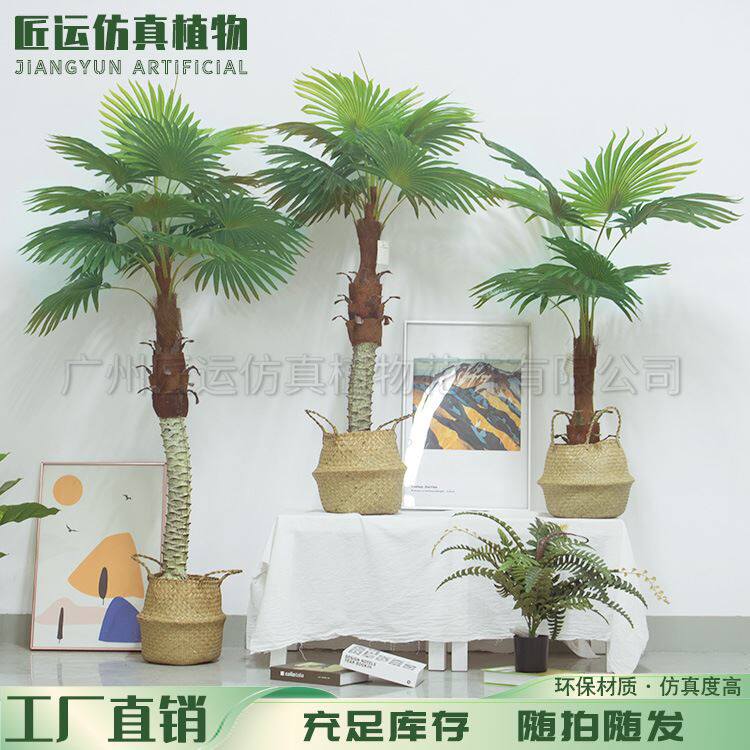 仿真扇葵树蒲葵树盆栽人造扇形葵树绿植仿真葵树家居造景摆件