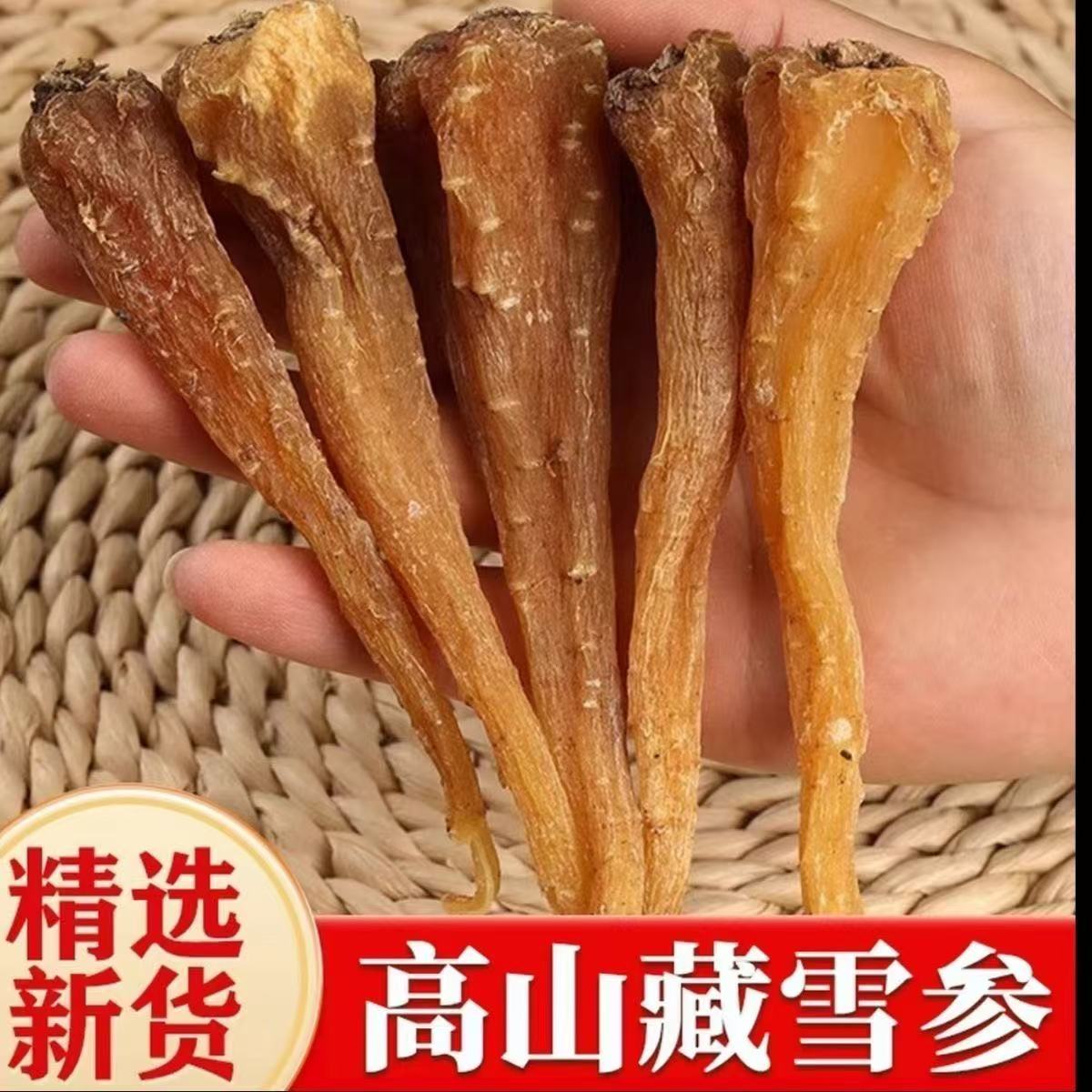 西藏藏血参500g包邮整支中药材特产红毛阳参玉人参天然正品藏雪参