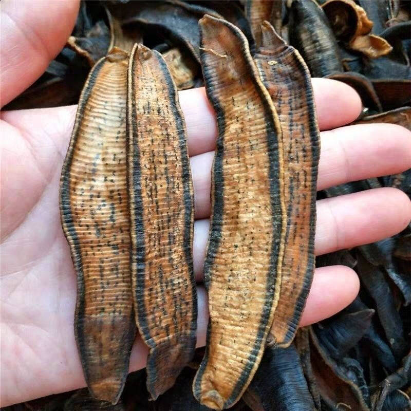 清水水蛭100g包邮中药材生水蛭片蚂蝗干货品医非500克现磨水蛭粉