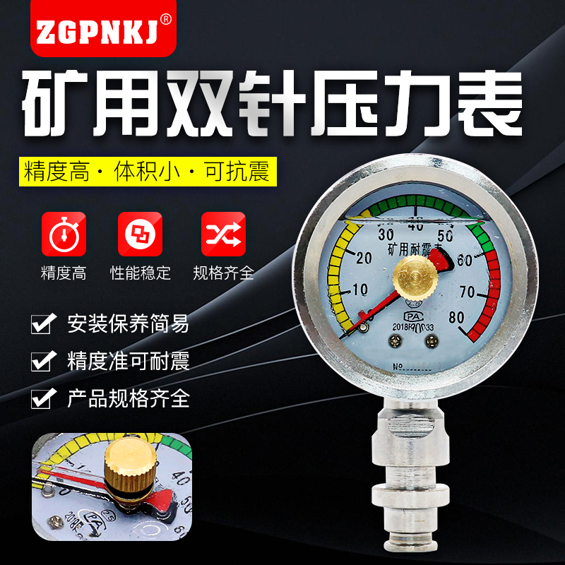 BZY60耐震双针80MPAD不锈钢液