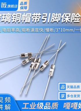 玻璃铜帽带引脚保险管3*10MM保险丝250V 0.5A 1A 2A 3A 4A 5A 10A
