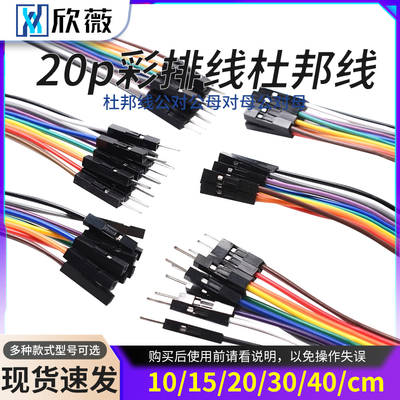 20p彩排线连接线杜邦线