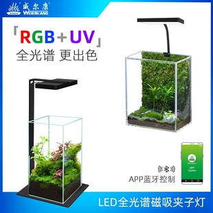 威尔康磁吸灯桌面造景灯小型鱼缸夹灯全光谱水草灯微景观灯青苔灯