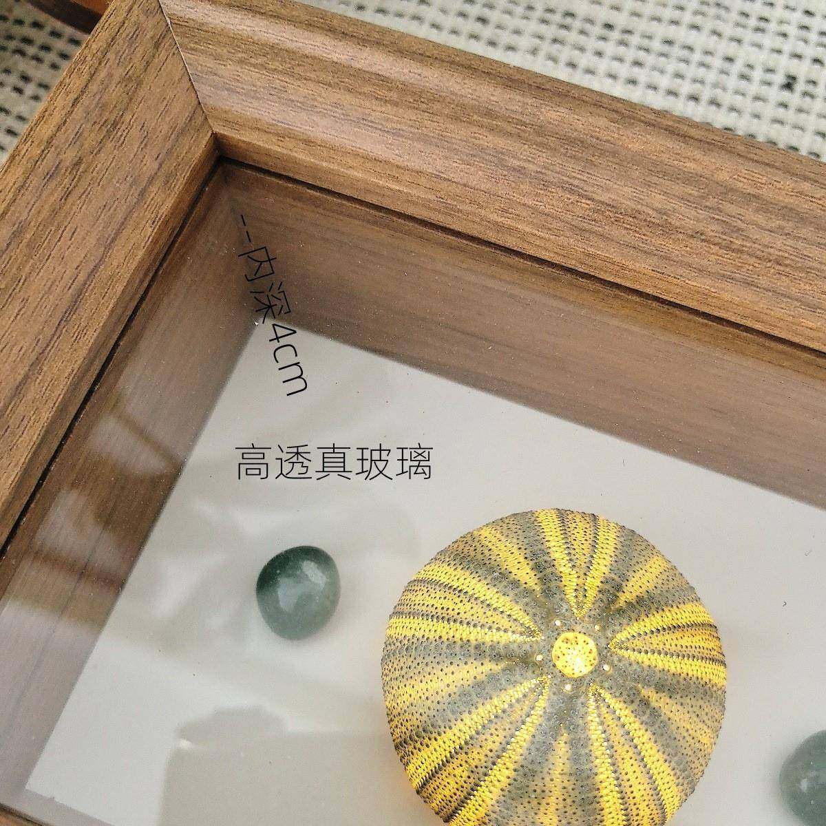 贝壳标本海胆灯相框装裱制作展示装饰摆台立体创意手工木画框,家居饰品,DIY亲子装饰画,淘宝优惠券,粉丝福利购,淘宝优惠卷