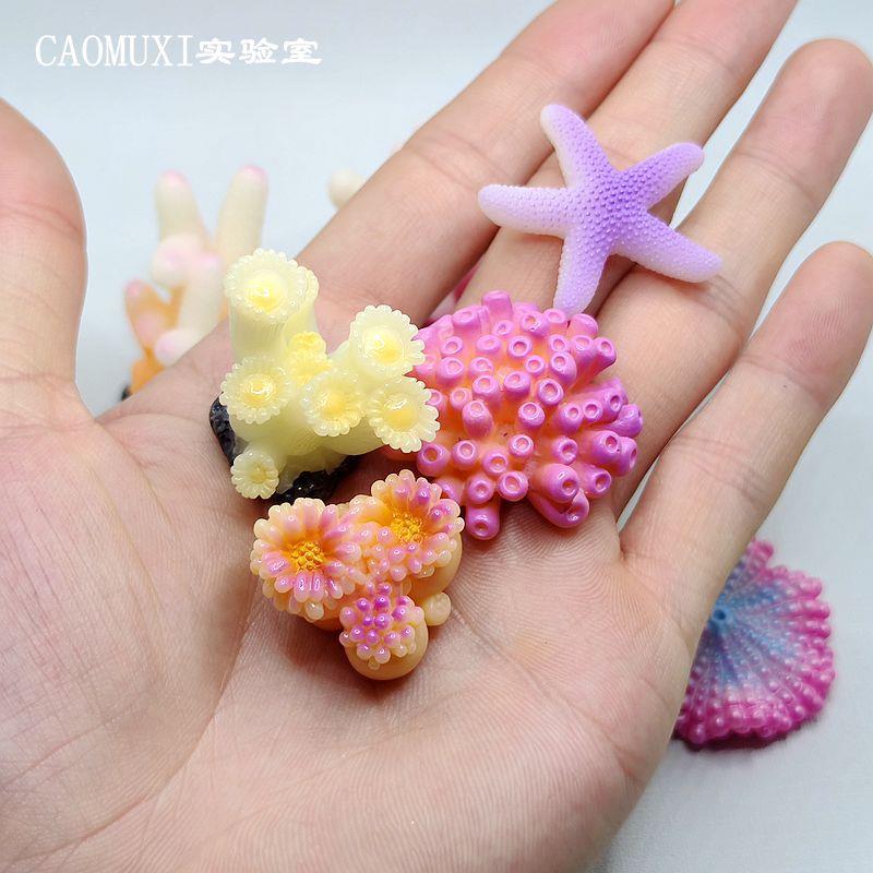 创意可爱仿真珊瑚海星模型树脂微景观摆件鱼缸造景装饰品玩偶