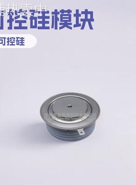 6SY7010-0AA43 6SY7010-0AA41 6SY7010-0AA46 6SY7010-0AA47模块