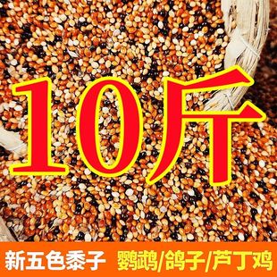 10斤虎皮鹦鹉饲料鸟食玄凤谷子牡丹粮食文鸟混合五色黍子鸟粮包邮
