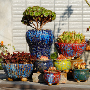 群生盆 大小口径花盆 多肉植物花盆 粗颗粒多肉花盆 麦饭石大爆裂