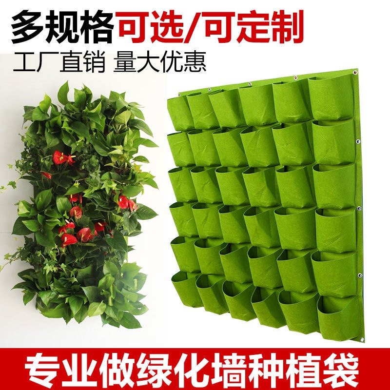 植物挂袋绿化墙墙体种植袋图片
