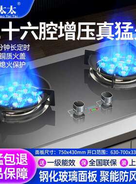 【巧太太】煤气灶双灶嵌入式台式天然气燃气灶家用液化气灶猛火灶