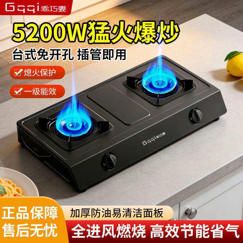 德国品牌煤气灶双灶头家用燃气灶