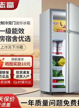 志高冰箱小型双门出租房
