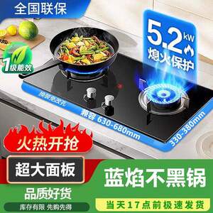 猛火家用双灶燃气灶六福好太太