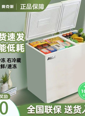双门双温冰柜冷冻冷藏家