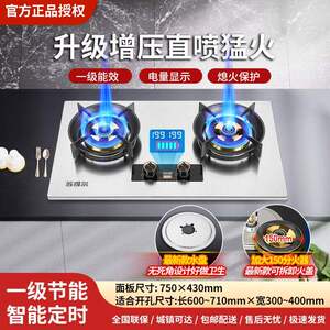 苏得尔燃气灶煤气灶双灶家用