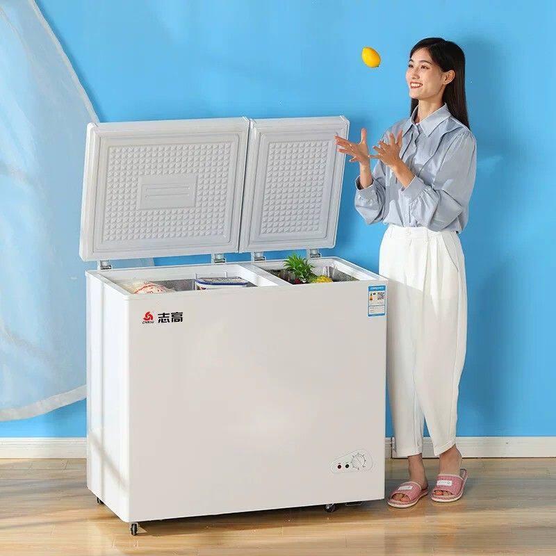 志高冰柜双温家用小型冷藏冷冻两用商用节能一级双开门冷柜