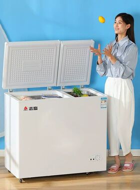 志高冰柜双温家用小型冷