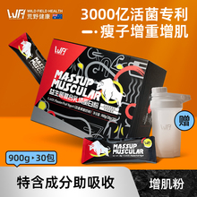 荒野健康益生菌增肌粉瘦人增重蛋白粉便携款男健身蛋白质粉小袋装