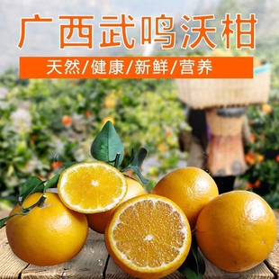 正宗广西沃柑新鲜水果纯甜不酸一级大果非德庆贡柑现摘现发10斤