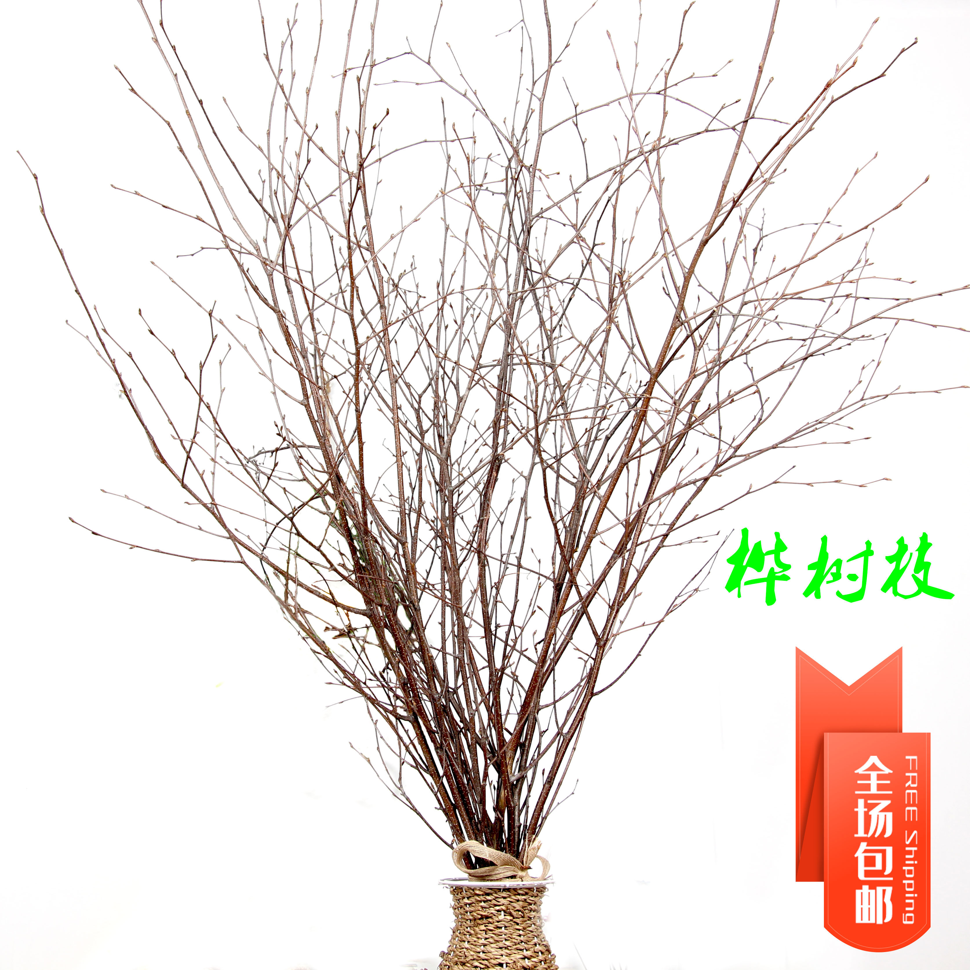 桦树枝干树枝树装饰幼儿园环手工材料松果麻绳木片仿真花干花茶几