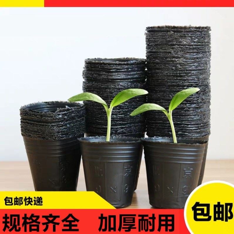 一次性育苗花盆幼苗植树袋树苗容器种植袋育种培育塑料袋胶袋菜园