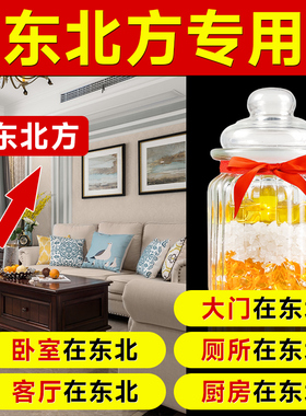 安忍水瓶子卧室客厅大门厕所厨房在东北专用加强摆件2024年安人水