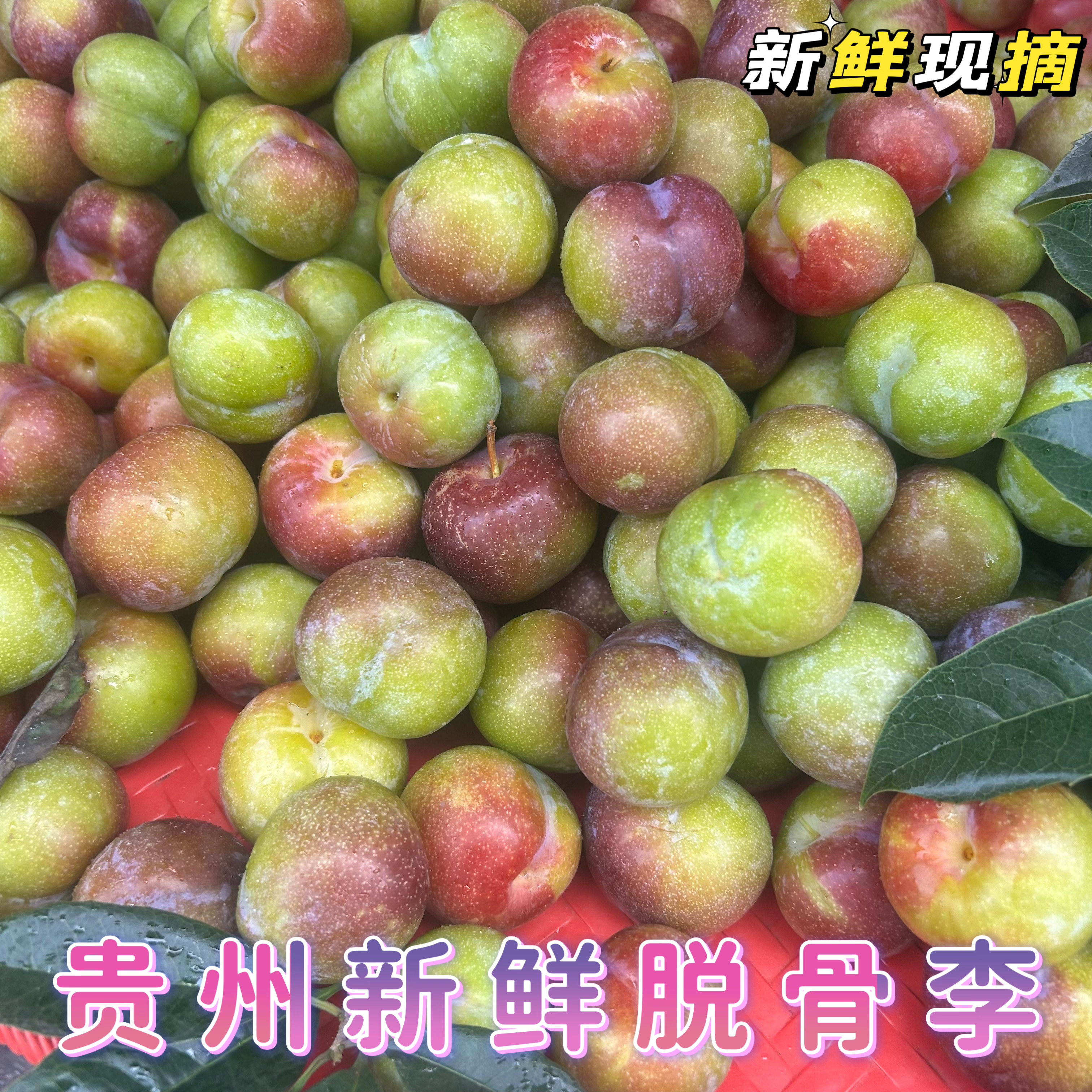 贵州李子新鲜五月脆李九半边红水李子