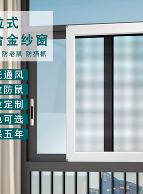 纱窗网自装推拉式防蚊平移防猫铝合金定制金刚网304不锈钢沙窗门