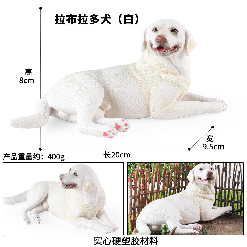 儿童动物仿真模型实心大号拉布拉多犬玩具认知狗狗柯基博美犬摆件