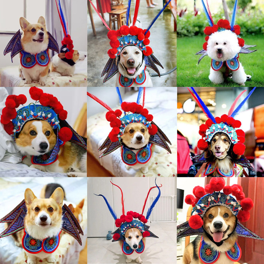 宠物变身装狗狗猫咪刀马旦服装边牧柯基法斗新年猫衣搞笑搞怪衣服,宠物/宠物食品及用品,狗宠物服装/雨衣,淘宝优惠券,粉丝福利购,淘宝优惠卷