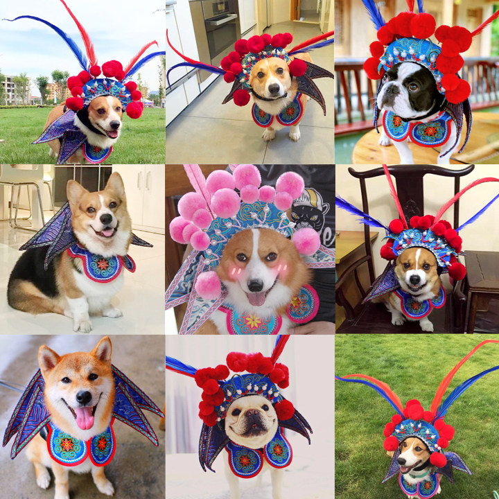 抖音同款宠物变身装狗狗猫咪刀马旦服装搞笑搞怪狗猫柯基法斗衣服,宠物/宠物食品及用品,狗宠物服装/雨衣,淘宝优惠券,粉丝福利购,淘宝优惠卷