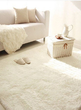 北欧家用白色客厅茶几地毯主播卧室满铺床边毯衣帽间垫飘窗毯定制