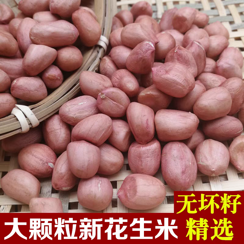 2025新生花生米新鲜粉红皮花生5斤新货 农家大粒不带壳花生仁榨油