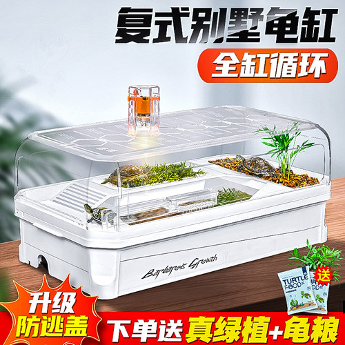养龟生态饲养箱循环过滤送真绿植