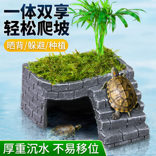 乌龟躲避烽火晒台一体双享省空间