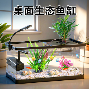 鱼缸客厅2026新款 小金鱼家用客厅乌龟饲养缸AS塑料小型桌面生态缸