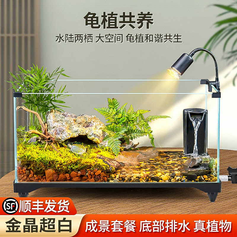 乌龟饲养缸生态造景家用玻璃鱼缸新型小别墅水陆两用养乌龟专用缸 - 实物图