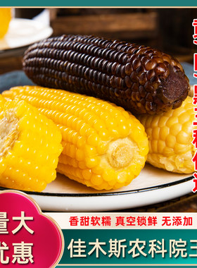 东北黄白黑糯玉米真空包装包邮