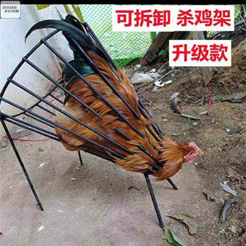 杀鸡鸭放血设备神器宰鸡神器杀鸭鹅专用屠宰杀鸡沥血斗杀鸡锥商用